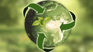 The Benefits of Professional Environmental Consulting