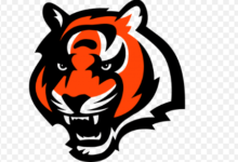 Cool:76mcrj6mfny= Logo:76mcrj6mfny= Bengals