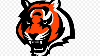 Cool:76mcrj6mfny= Logo:76mcrj6mfny= Bengals