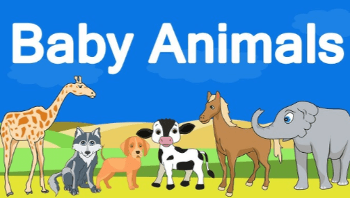 Baby:_Muehgndvyg= Animals