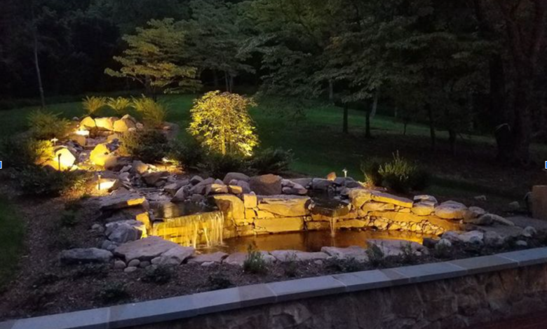 Pond Lighting: Transform Your Garden Oasis After Dark