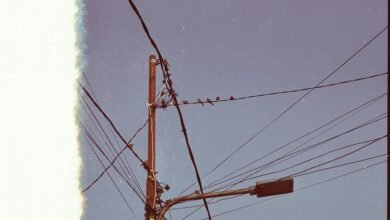 support line number provided