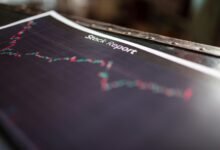 numerical identification insight report