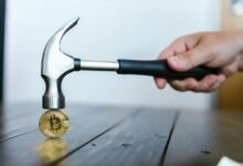 market signals analysis report