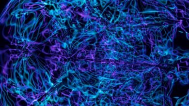 apex pulse neural prism