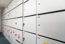 digital activity notes 163onmyneck caller alerts