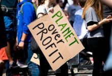 fusion surge profit orbit id 911177224