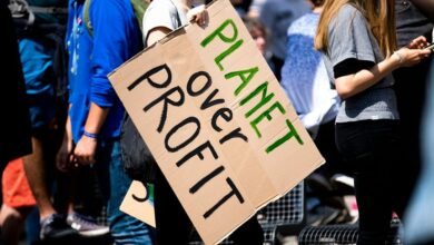 gravity surge drives profit orbit