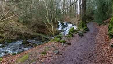 hypernova flow strategic route designation