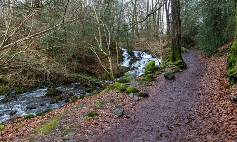 hypernova flow strategic route designation