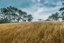 transformative growth mapping performance outlook