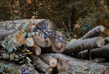 advanced infrastructure performance log