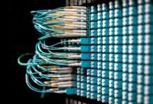 enterprise connectivity audit identifiers list