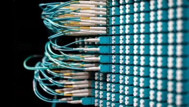 enterprise connectivity audit identifiers list