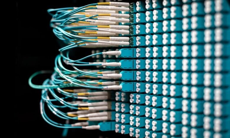 enterprise connectivity audit identifiers list